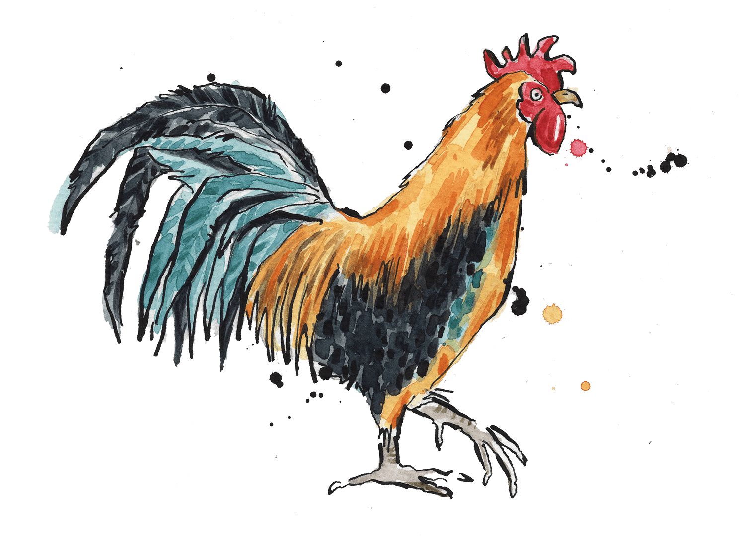 Illustrated colourful rooster