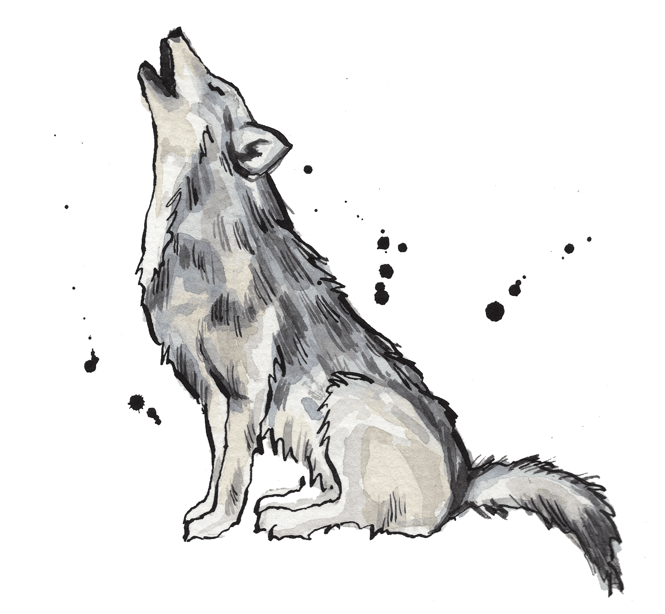 Illustrated wolf howling