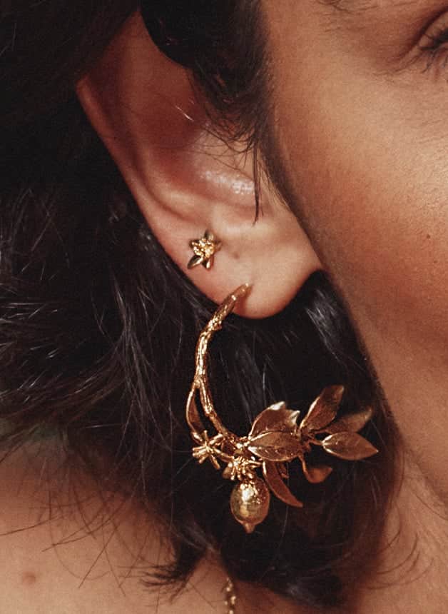 Earrings