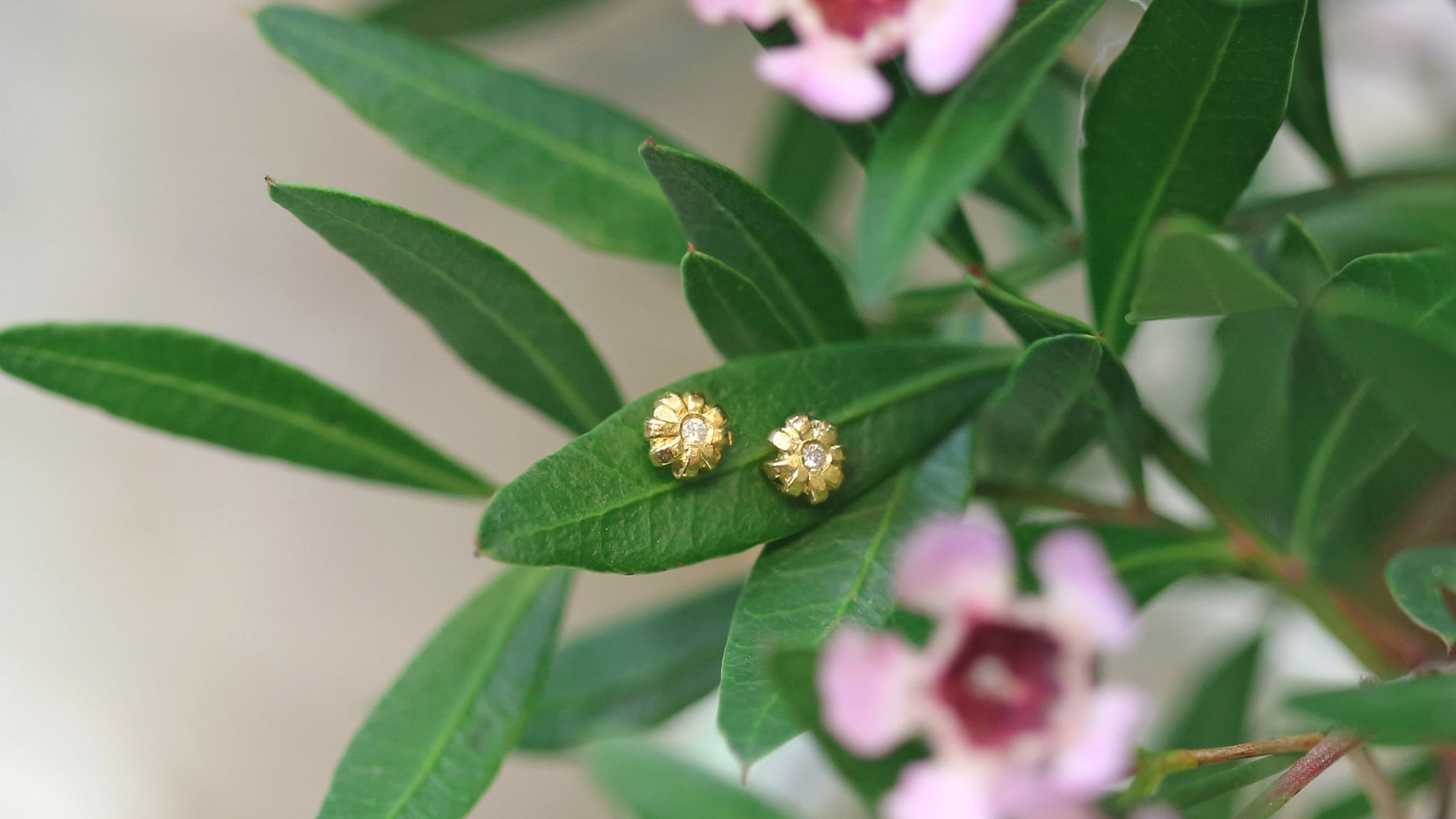 Stud Earrings
