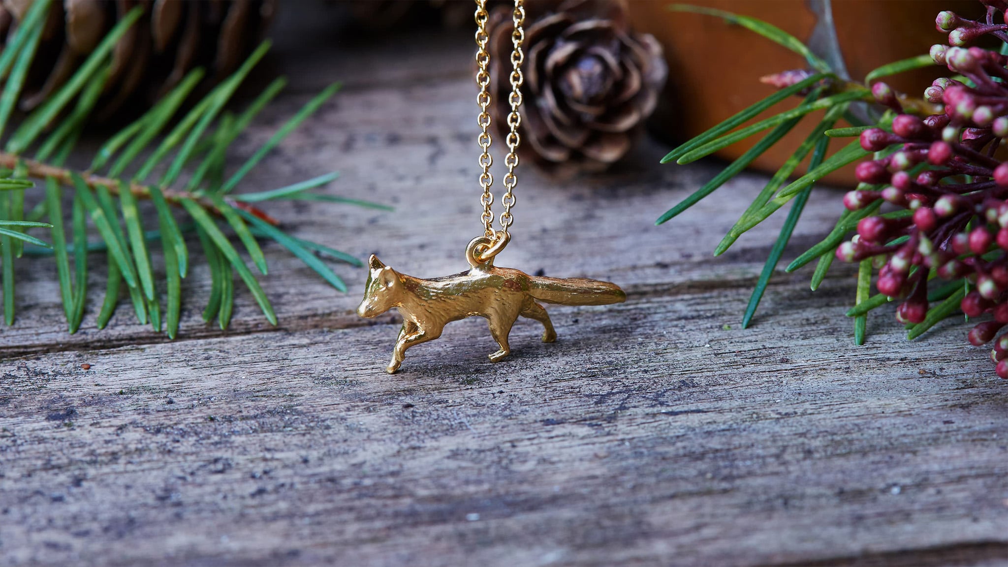 Animal Favourites