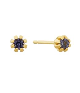 Royal Purple Sapphire Seruni Stud Earrings Product Photo