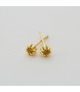 Royal Yellow Sapphire Seruni Stud Earrings