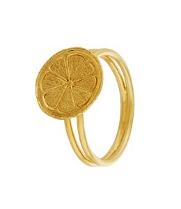 Gold Plate Lemon Slice Double Band Ring Product Photo