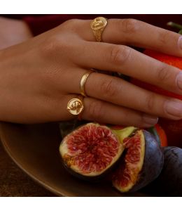 Ornately Engraved Signet Ring with Sleeping Hare