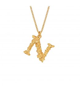 Floral Letter N Necklace Product Photo