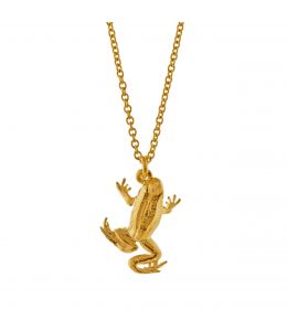 Frog Necklace Product Photo