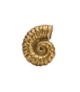 Ammonite Drawer Handle