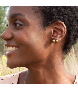 Fine Ammonite Stud Earrings