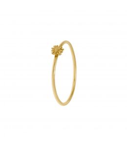 18ct Yellow Gold Fine Ring with Isty Bitsy Daisy Product Photo