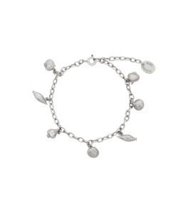 Silver Know Your Onions Charm Bracelet Product Photo