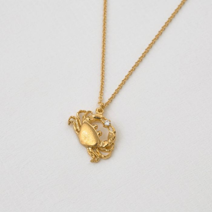 Crab Necklace in 14 karat rose gold - GoldInArt.com