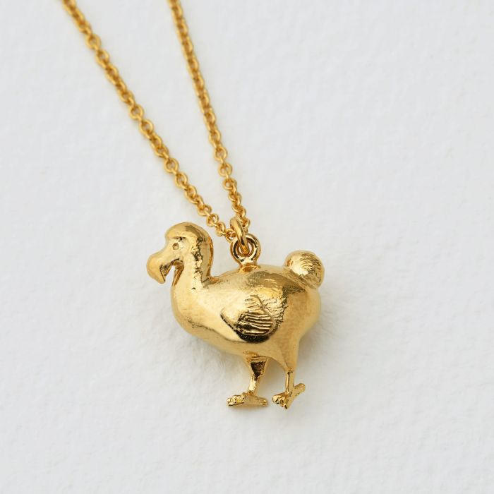 Dodo bird jewelry store