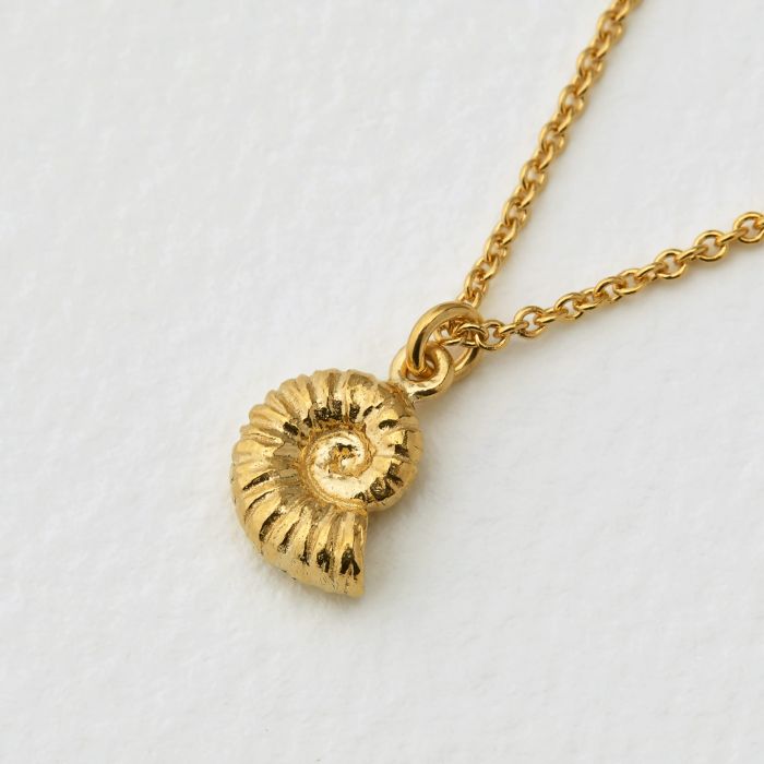 ammonite necklace pendant
