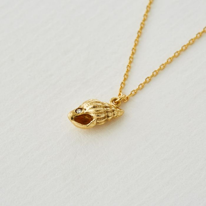 Teeny Tiny Shell Necklace