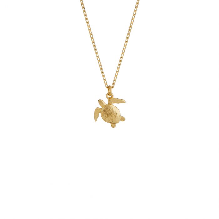 Tiny turtle necklace on sale