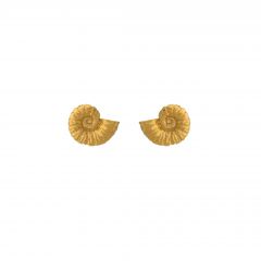Ammonite Stud Earrings Product Photo