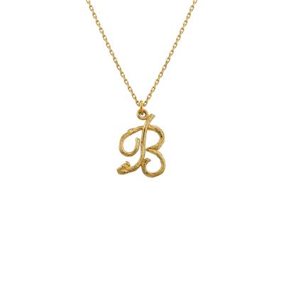 Enchanted Twig Alphabet - Letter B Product Photo