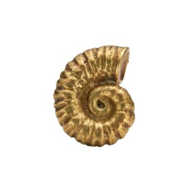 Ammonite Drawer Handle