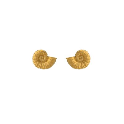 Ammonite Stud Earrings Product Photo