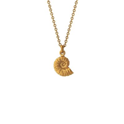 Ammonite Necklace Product Photo