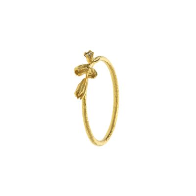 Seed Pod & Champagne Diamond Ring Product Photo