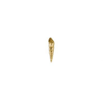 Turret Shell Single Stud Earring Product Photo