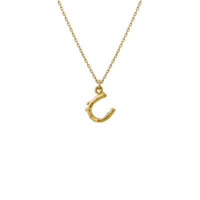 Teeny Tiny Horseshoe Necklace Product Photo