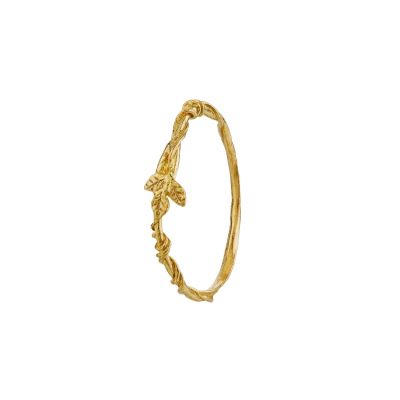 Rosa Vinea Band Product Photo