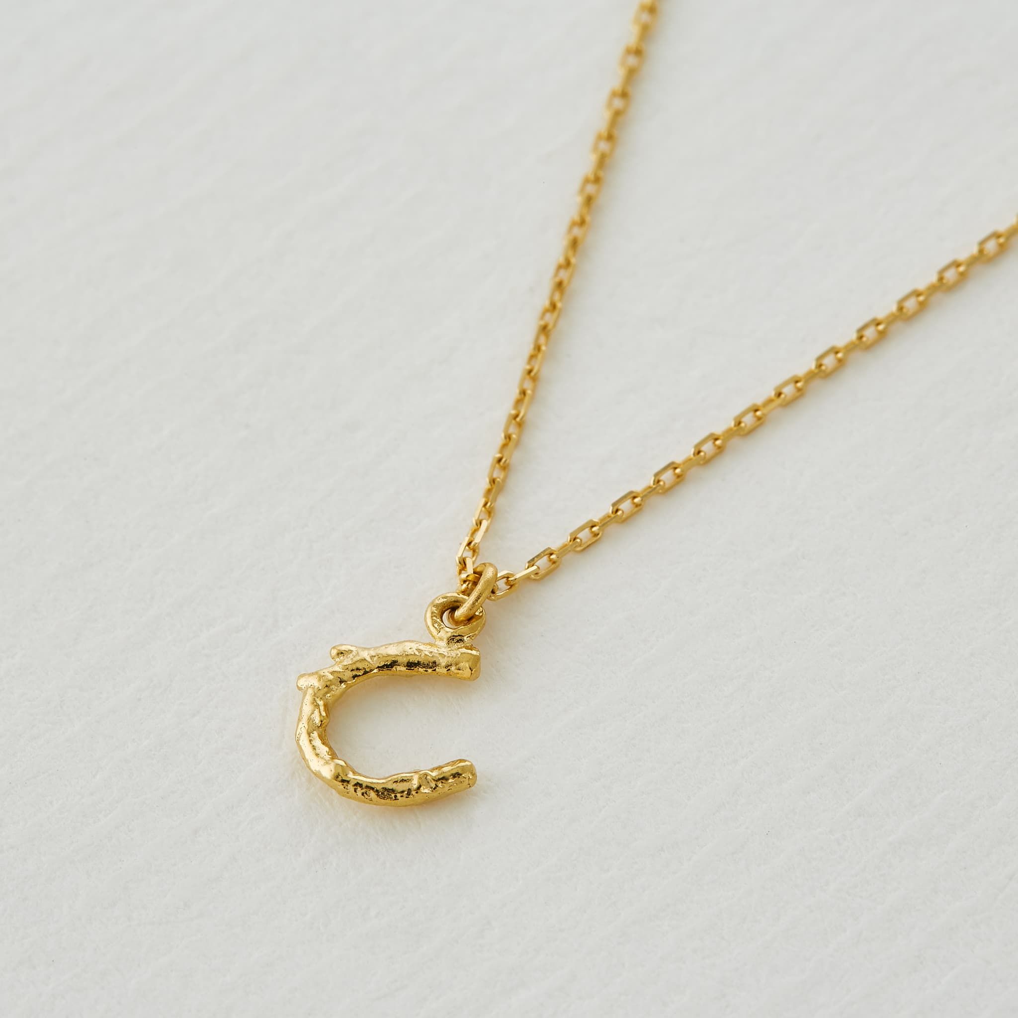 Amazon.com: Lucky Horseshoe Necklace Yellow Gold Filled Hammered 18 inch  chain length : Handmade Products