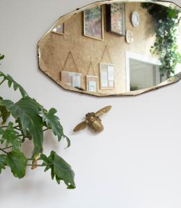 products_grid_lifestyle