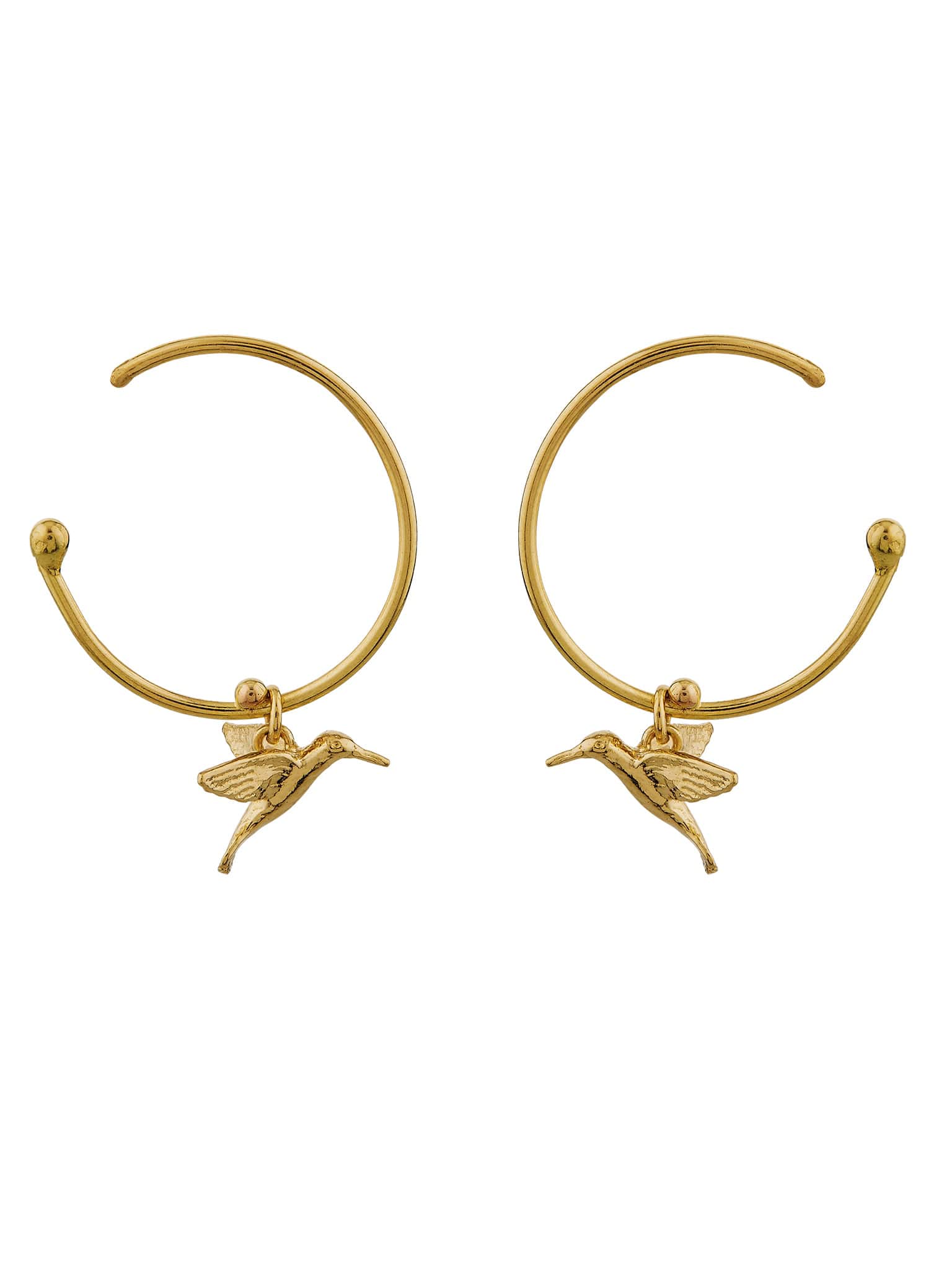 Teeny Tiny Hummingbird Hoop Earrings