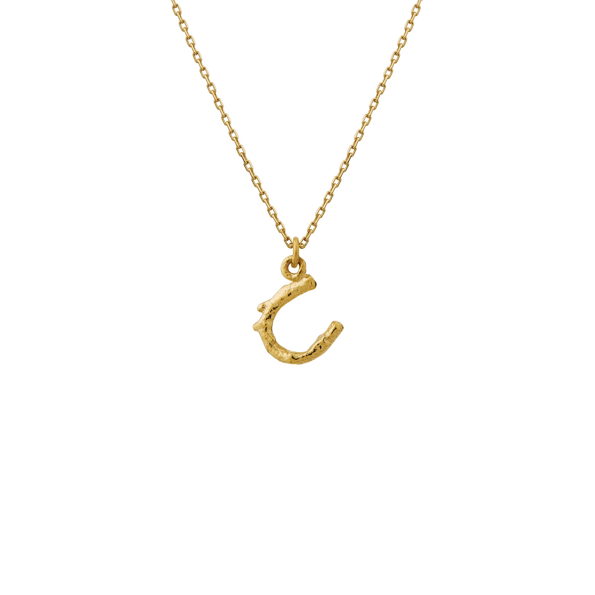 Teeny Tiny Horseshoe Necklace
