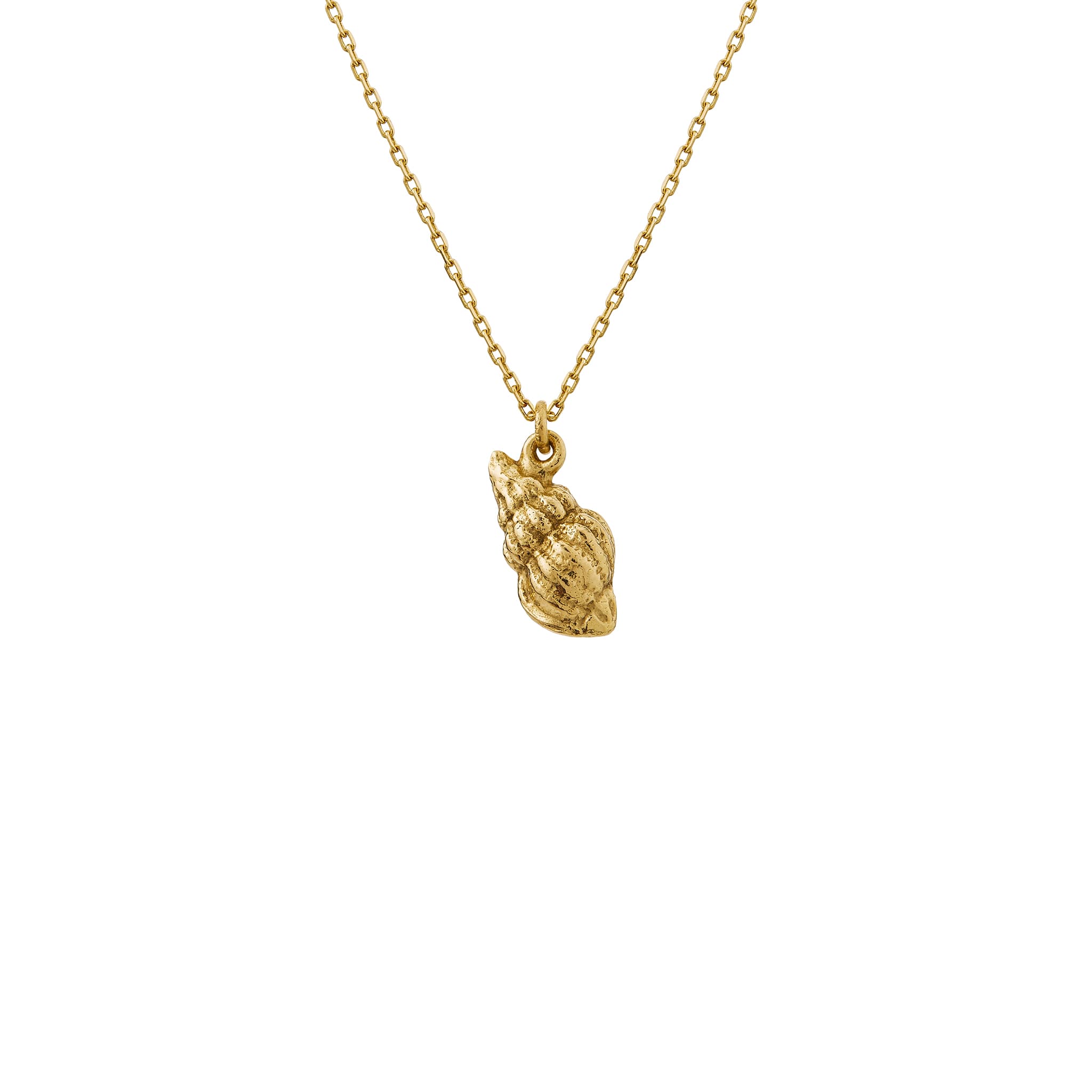 Teeny Tiny Shell Necklace
