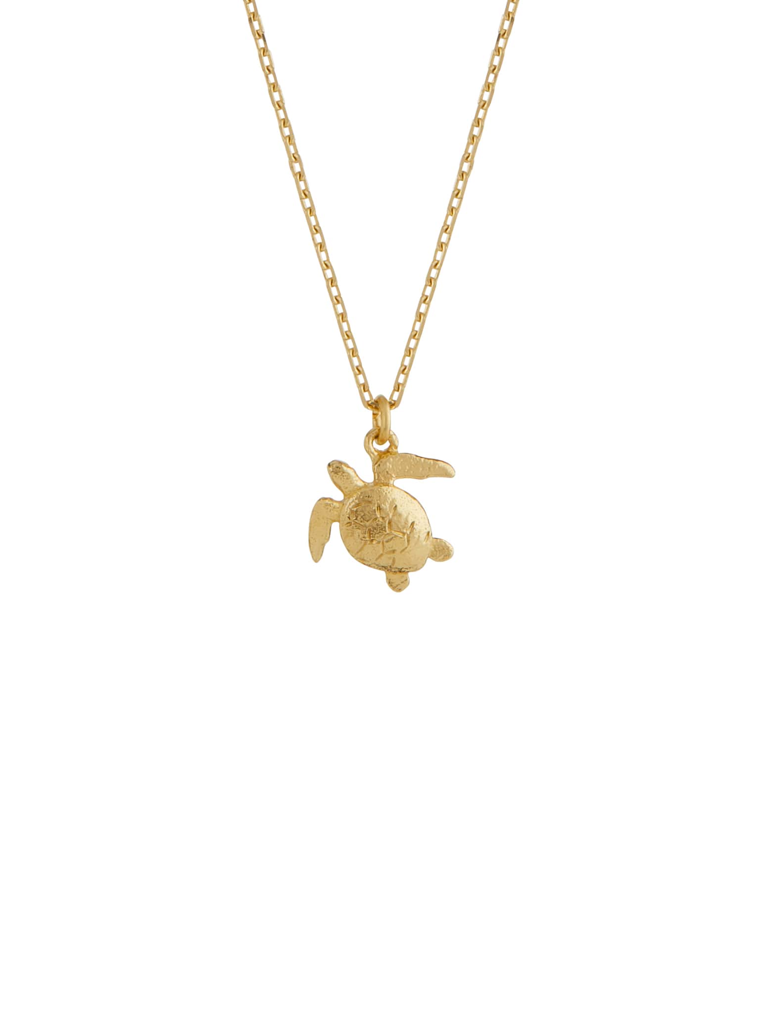 Teeny Tiny Sea Turtle Necklace