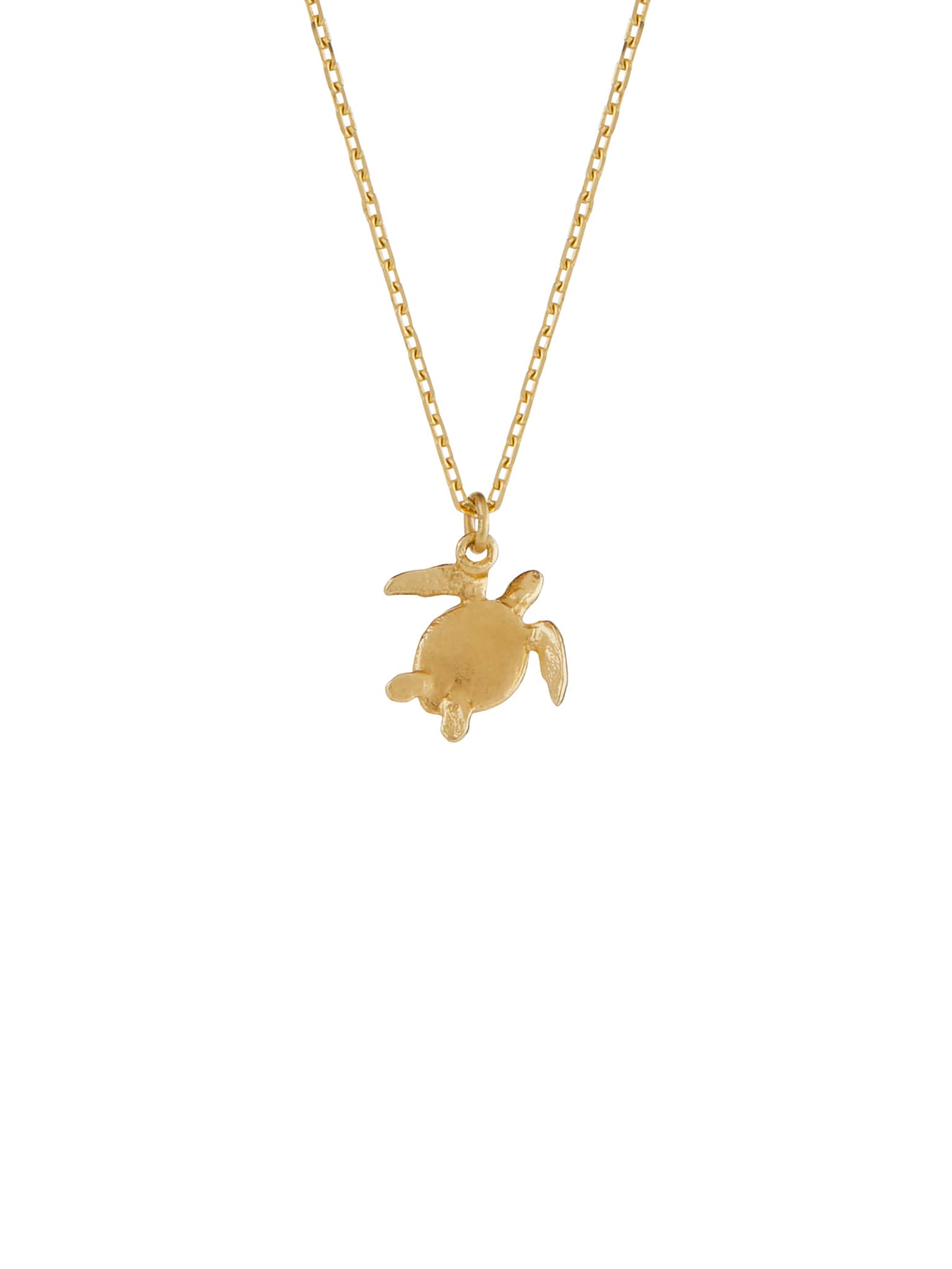 Teeny Tiny Sea Turtle Necklace