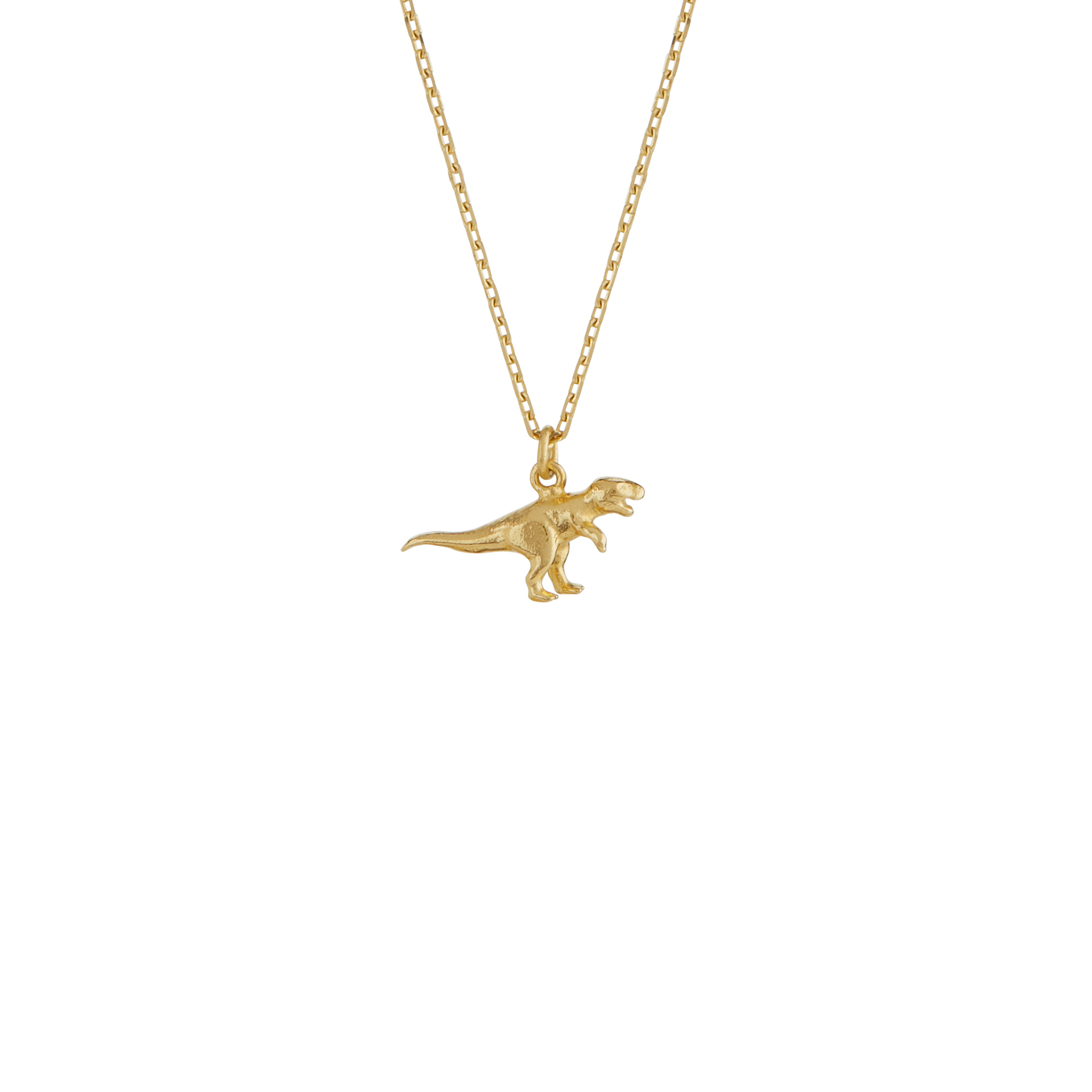 Teeny Tiny T-Rex Necklace