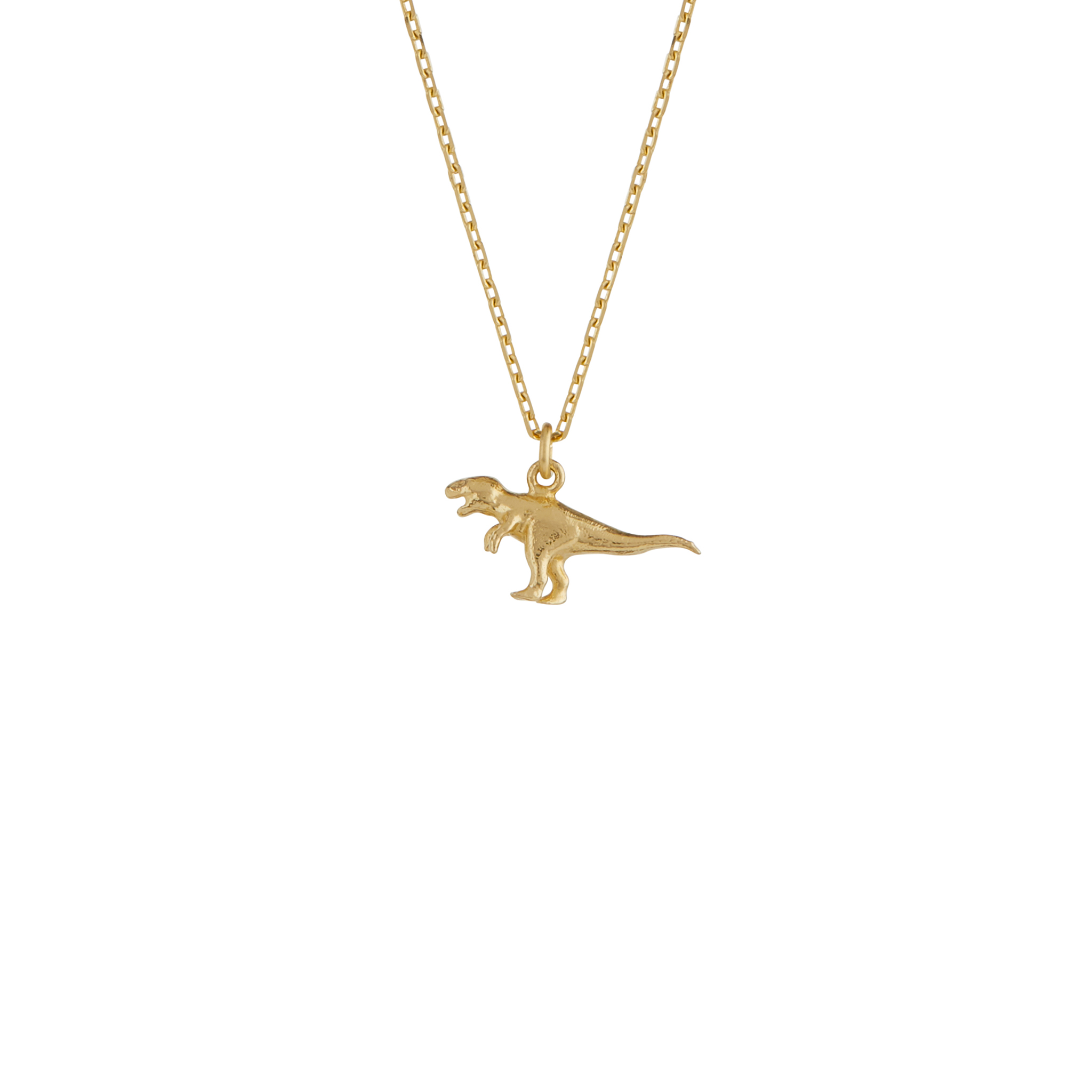 Teeny Tiny T-Rex Necklace