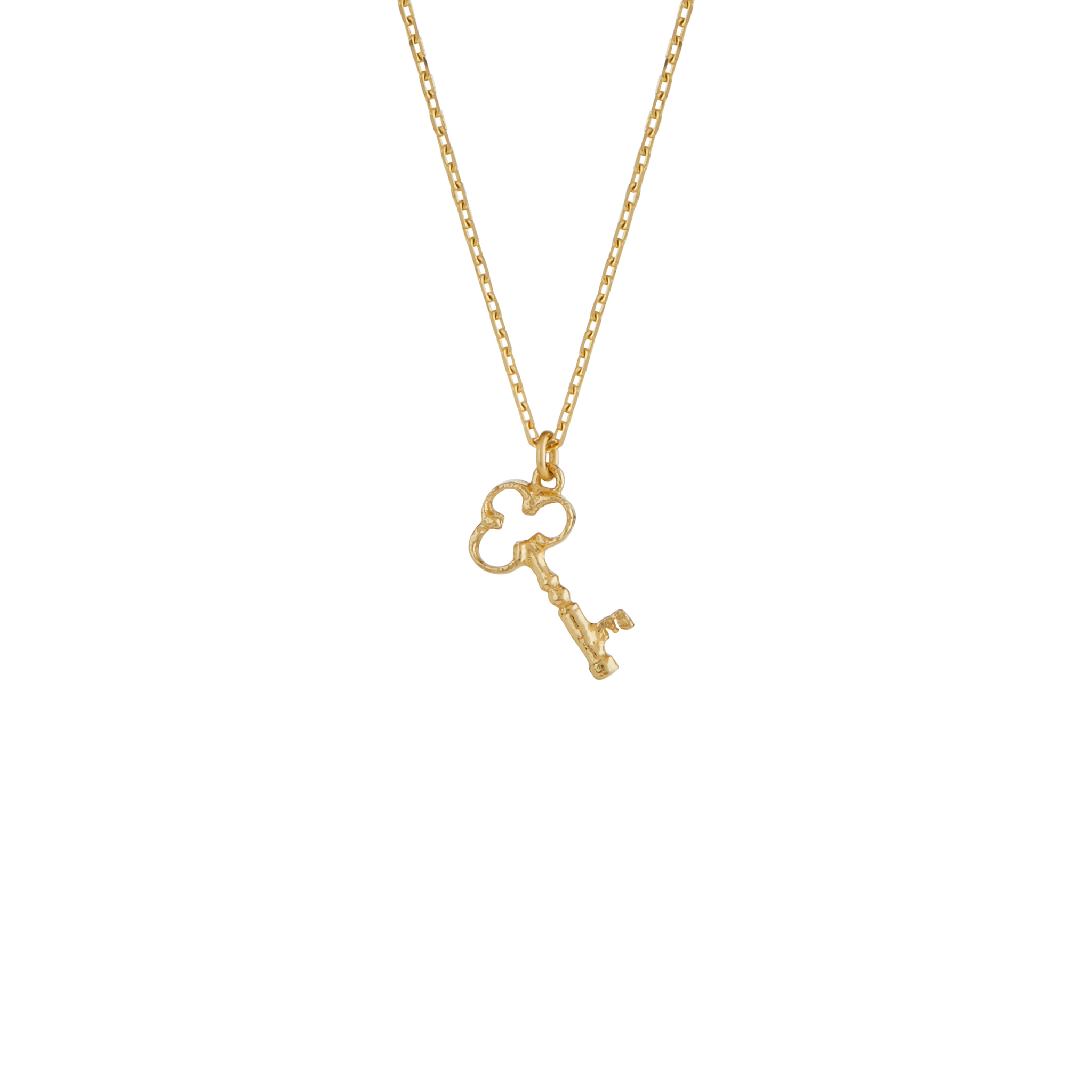 Teeny Tiny Garden Key Necklace