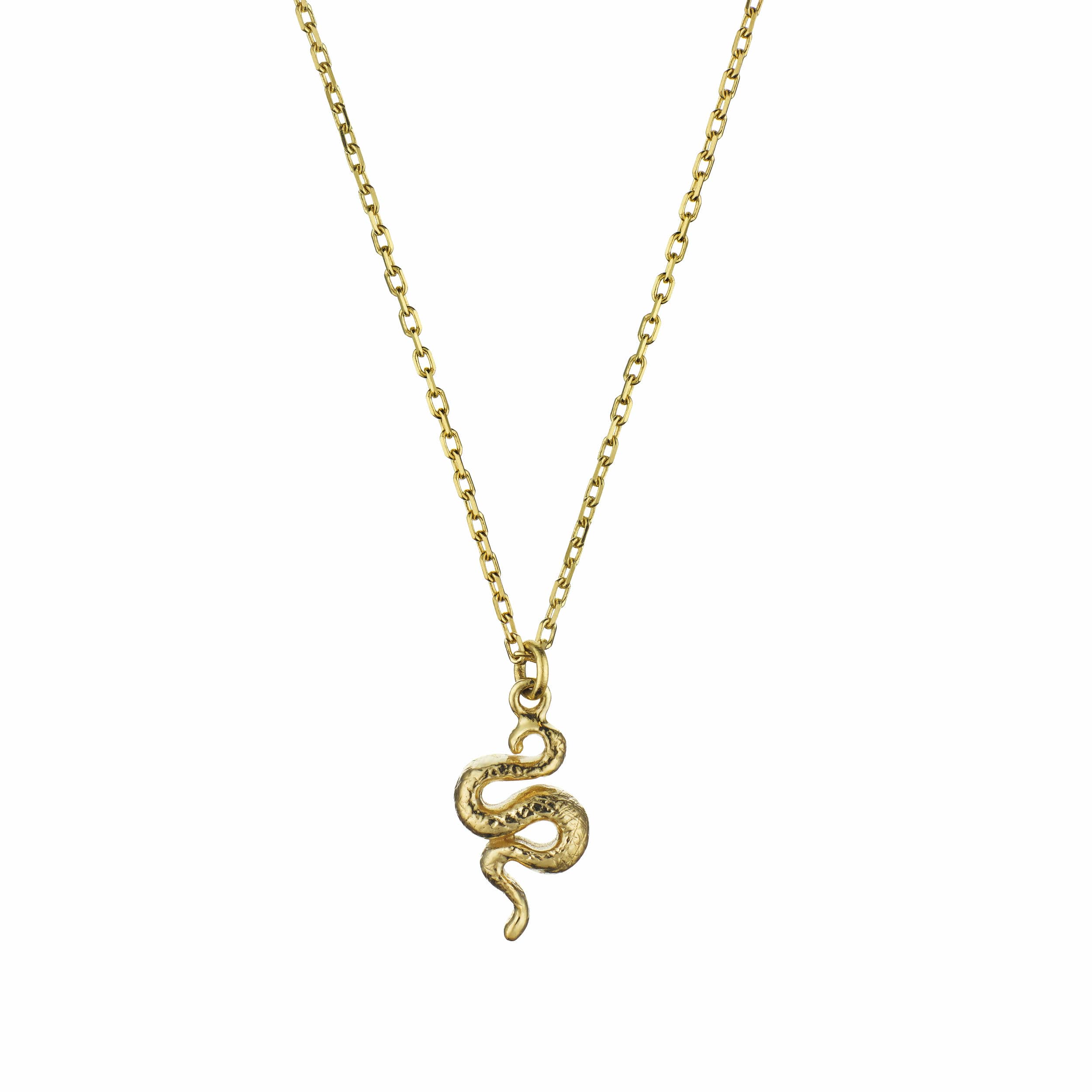 Teeny Tiny Snake Necklace