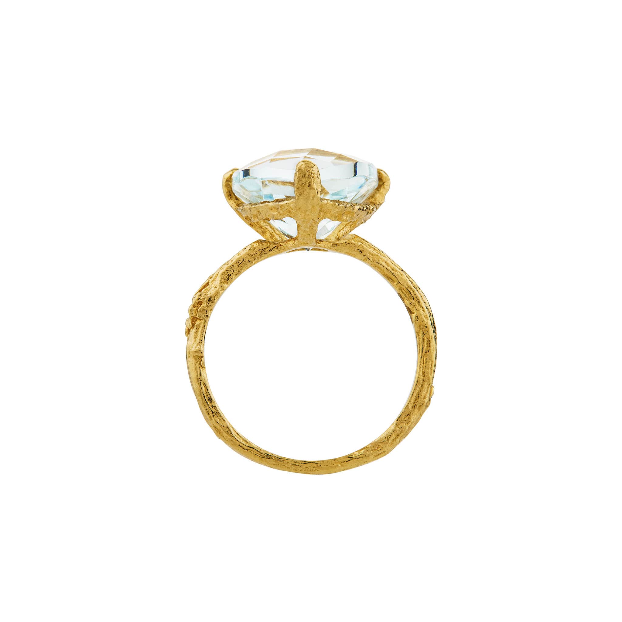 Aquamarine Forest Jewel Ring