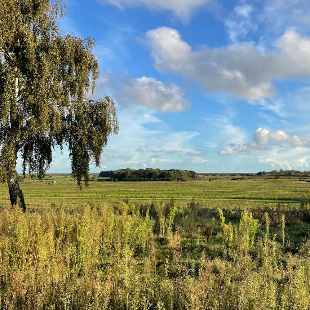 Suffolk landscape.