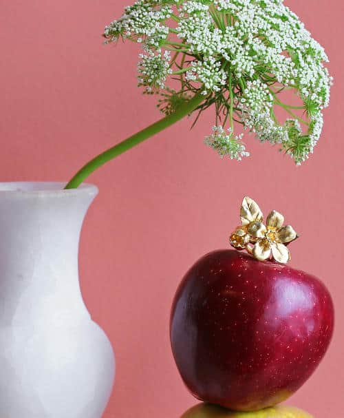 Wild Botany Image 1