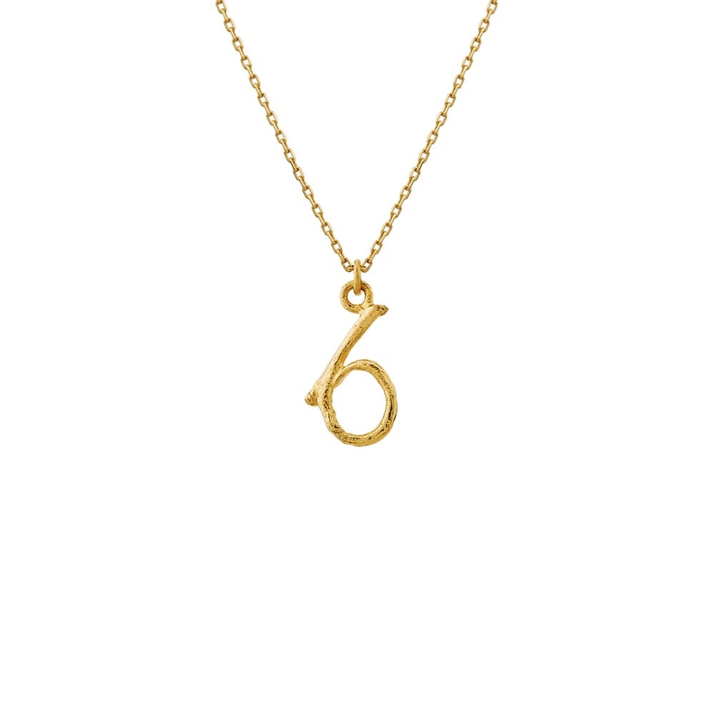 Enchanted Woodland 18ct Gold Number 6 Necklace