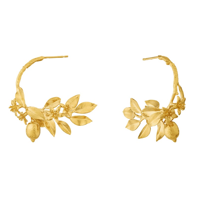 Product shot of gold plated Lemon Blossom Branch Hoop Earrings with Hanging Lemons by Alex Monroe Jewellery