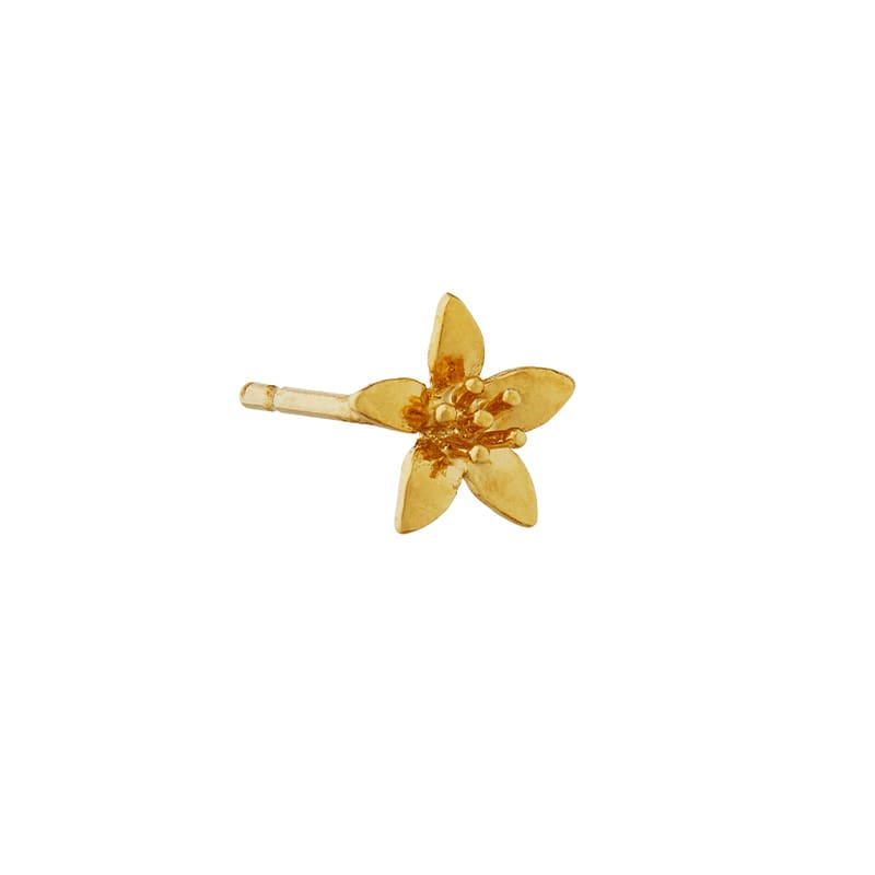 Product shot of gold plated Lemon Blossom Single Stud Earring by Alex Monroe Jewellery