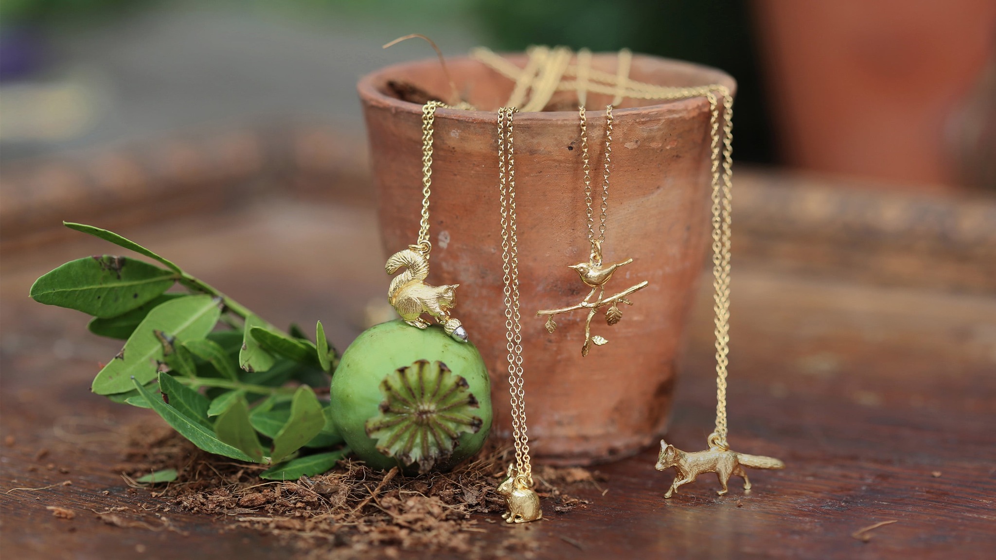 Nurtured Garden 