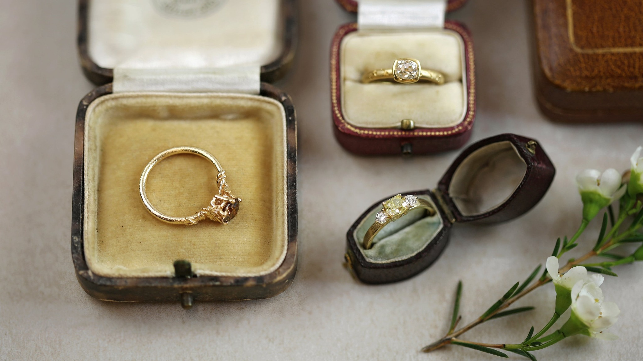 Diamond Library Bezel Diamond Ring with Flyaway Dandelion Engraving and Diamond Trilogy Yellow Diamond Ring by Alex Monroe Jewellery