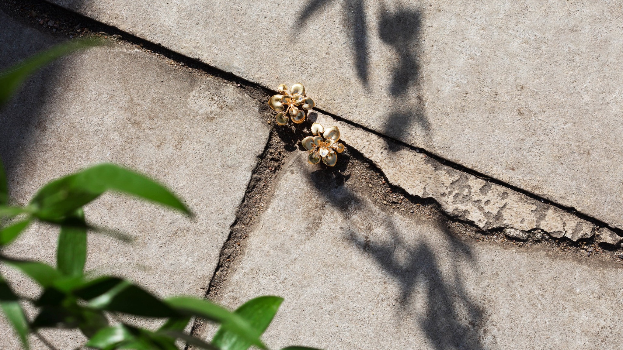 Silver Gold plated Rosette Sprouting leaf stud earrings with diamond displayed in pavement cracks