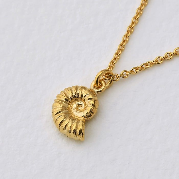 paper shot of gold plated Ammonite Necklace by Alex Monroe Jewellery